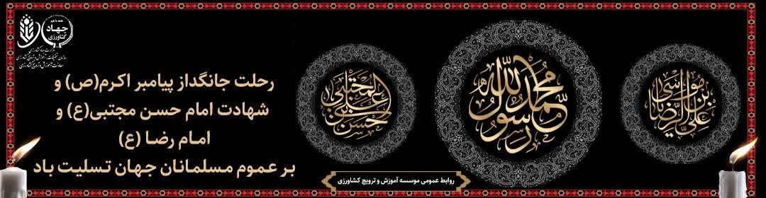 شهادت پیامبر اکرم (ص)