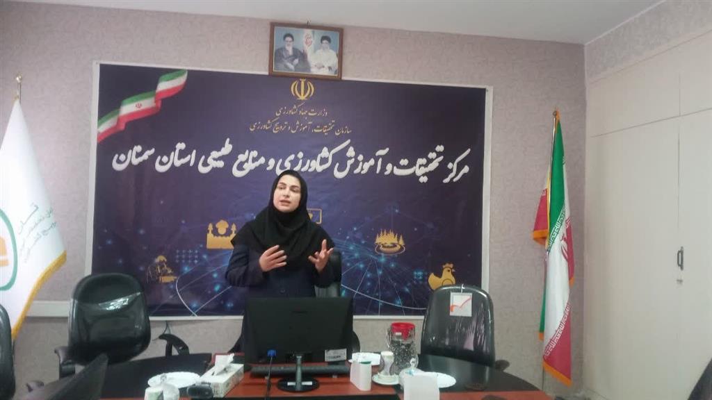 برگزاری دوره آموزشی« فرهنگ سازمانی»