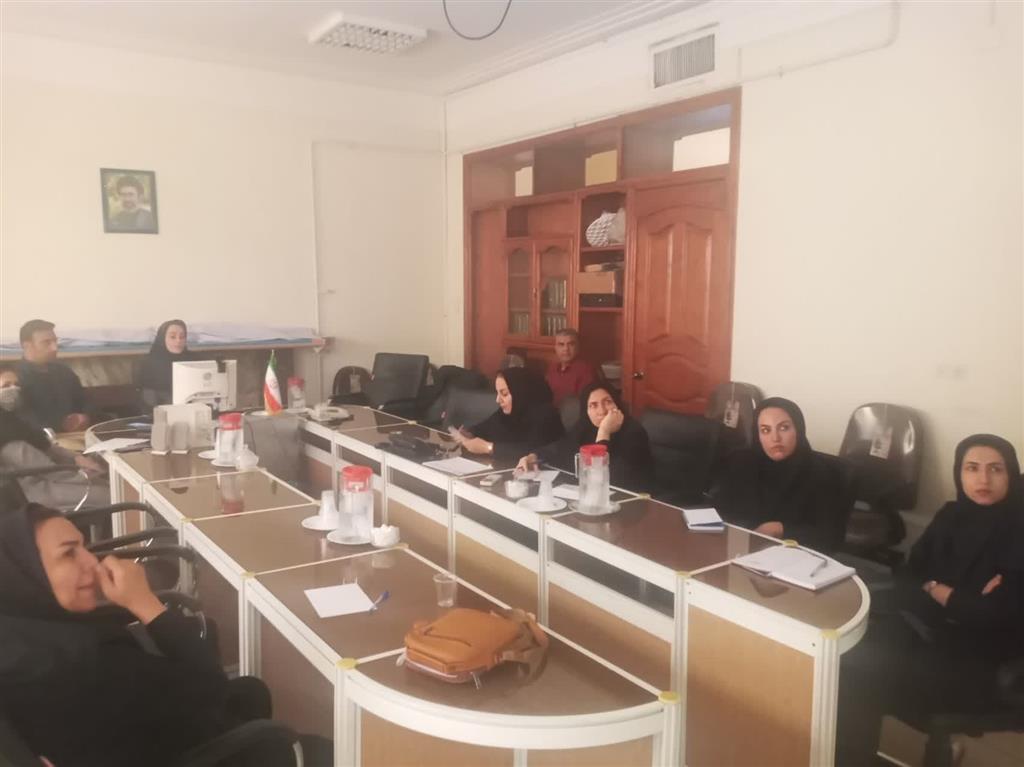 برگزاری دوره آموزشی «آشنایی با صنایع تبدیلی شیلاتی  »
